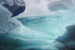 0daa2da9-23fe-4c79-b970-2c279c9abff2