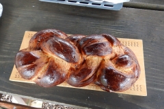 2019_Neujahrstauchen_13