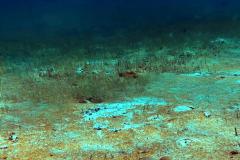 IMG-20250722-WA0016
