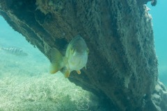 IMG-20250722-WA0021