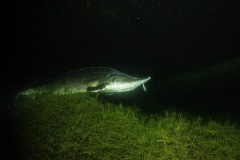 950394d2-e20b-4870-b316-6a31cb4bbcd3