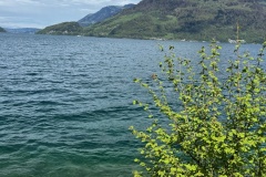 image0