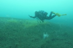 Bootstauchen-Thunersee